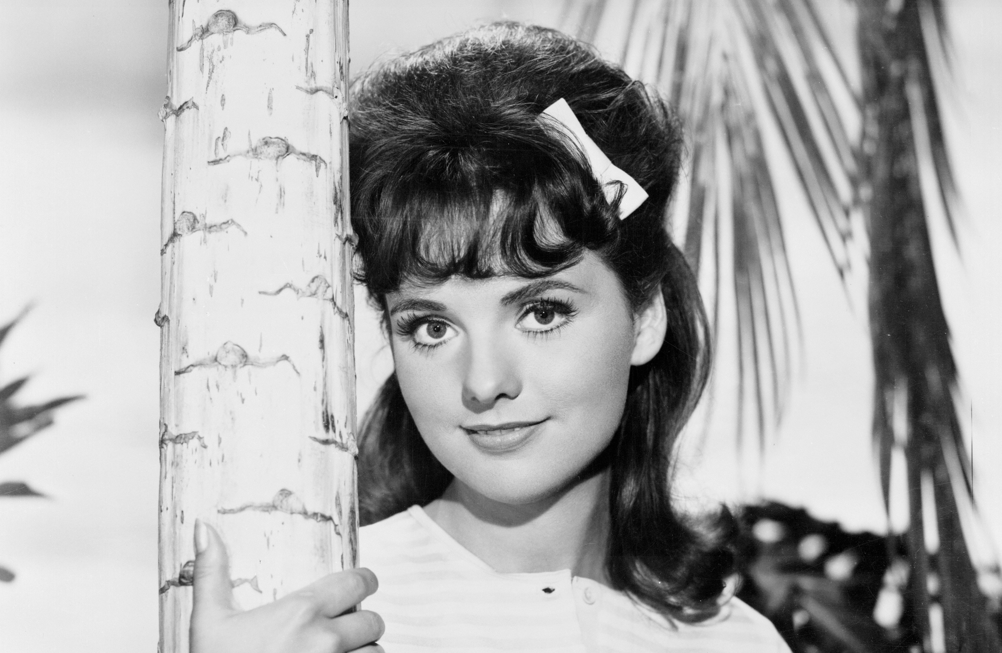 Dawn Wells Now