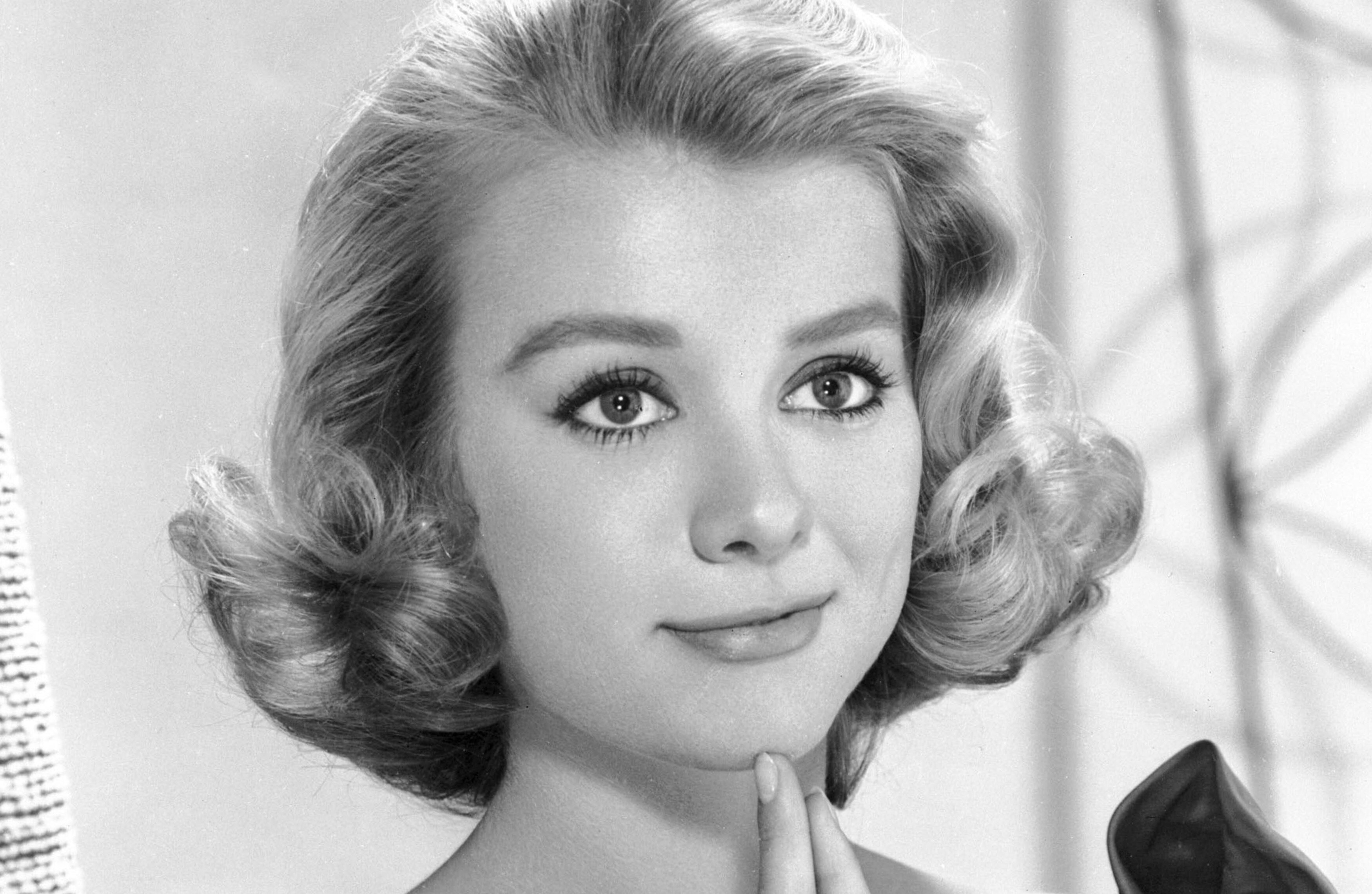 Inger stevens movies and tv shows