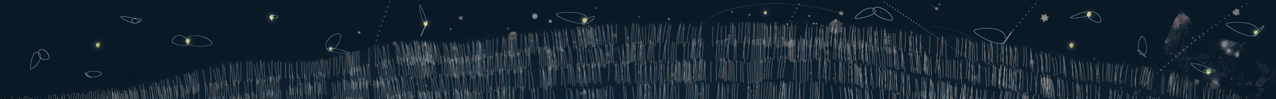 Summer Under The Stars