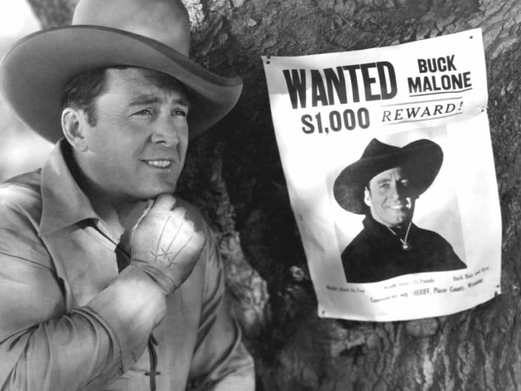Hollywood Cowboy