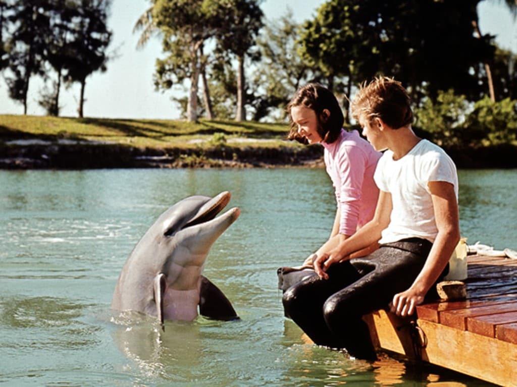 Flipper's New Adventure