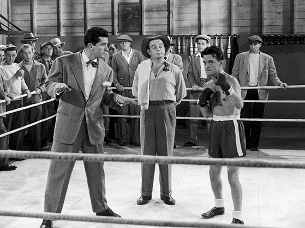 Fighting Fools