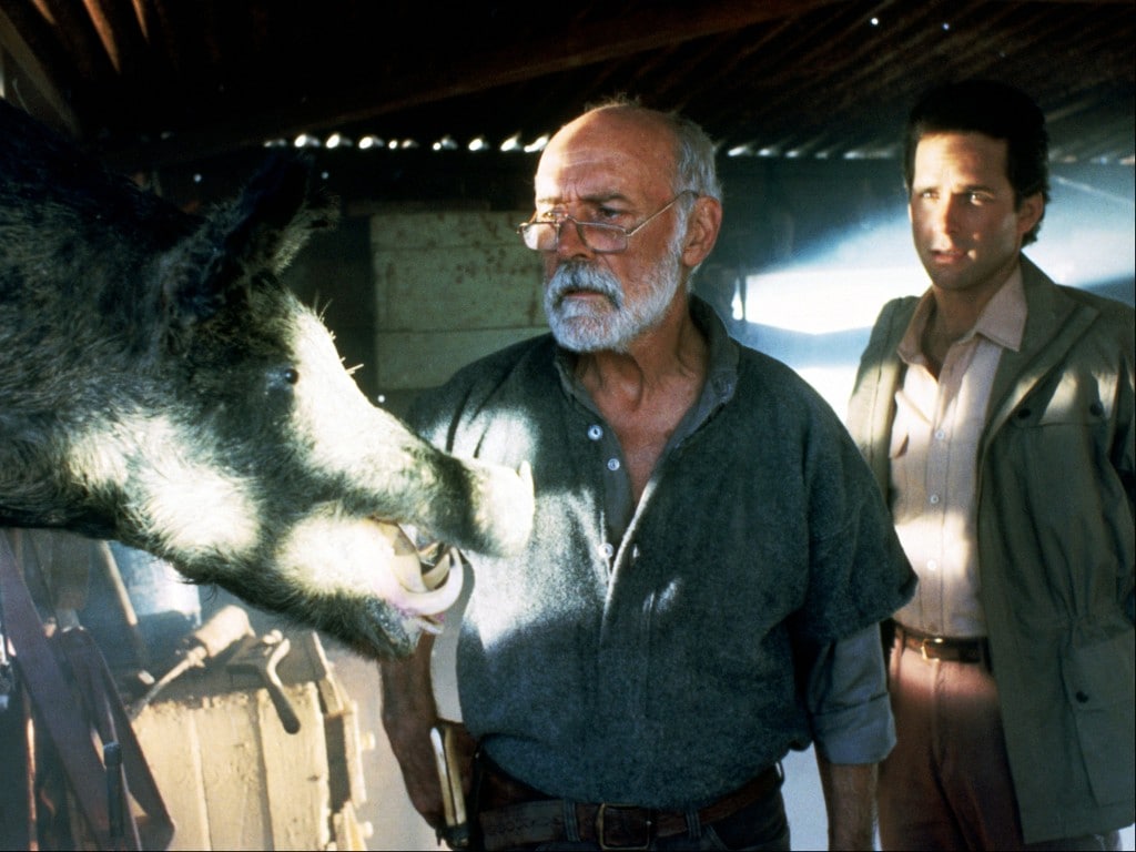 Razorback