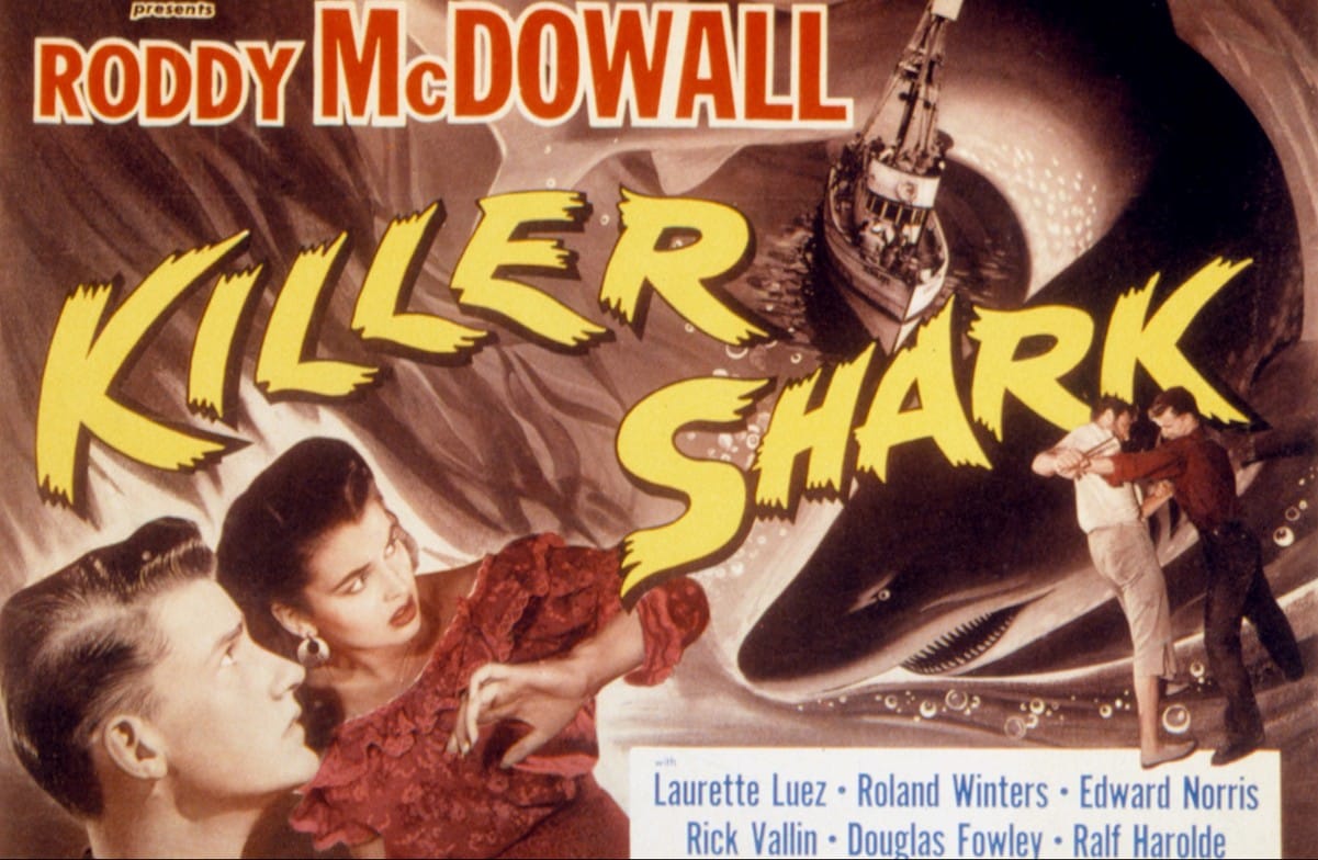 Killer Shark
