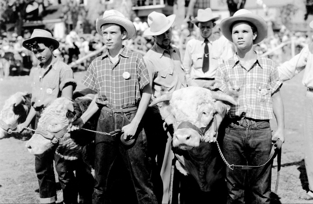 Boys' Ranch